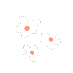 白い花