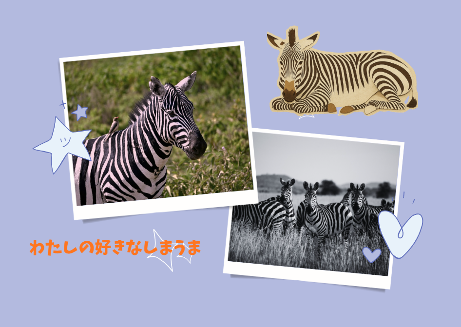 すきなものカード完成