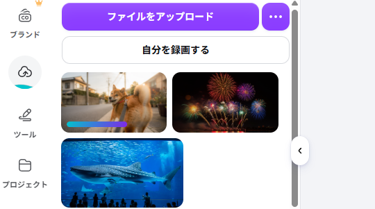 自分の写真を使う