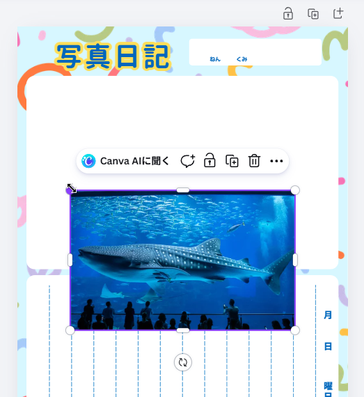 水族館の写真を調整する前