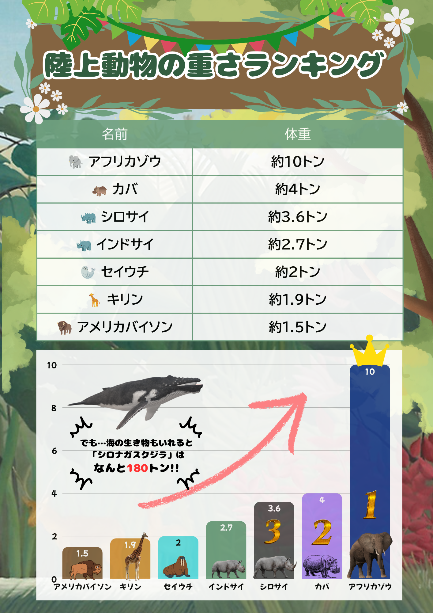 自分で調べたことをランキングにしたアレンジ