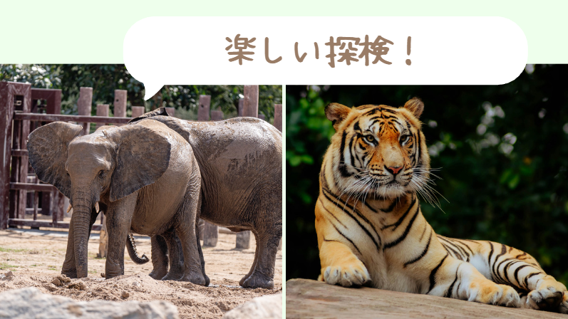 4シーン目