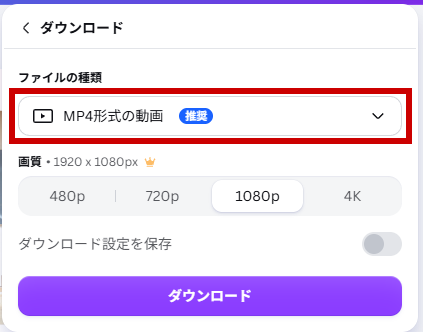 MP4形式を確認