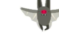 Bat